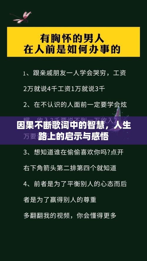 因果不断歌词中的智慧，人生路上的启示与感悟