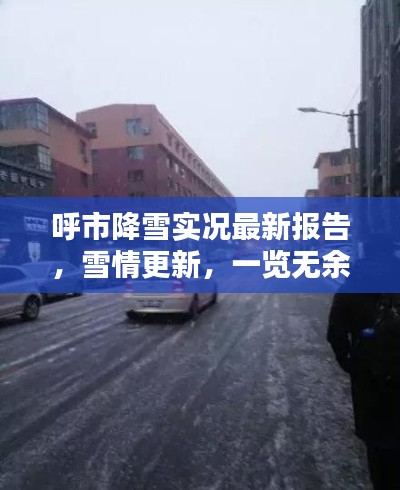 呼市降雪实况最新报告，雪情更新，一览无余