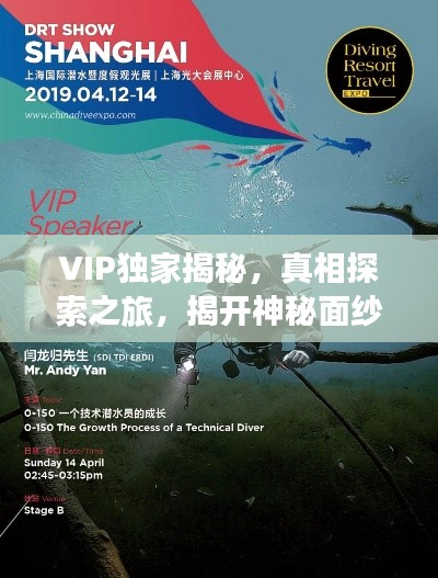 VIP独家揭秘，真相探索之旅，揭开神秘面纱下的故事