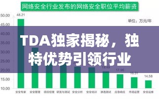 TDA独家揭秘，独特优势引领行业革新潮流