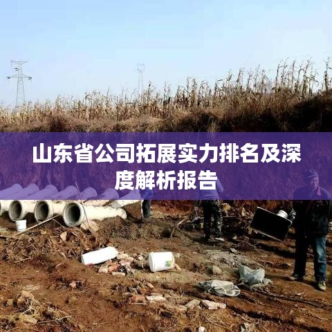 山东省公司拓展实力排名及深度解析报告