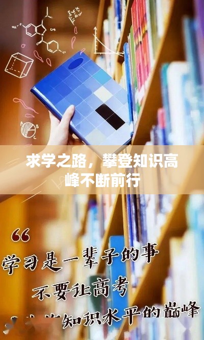 求学之路，攀登知识高峰不断前行