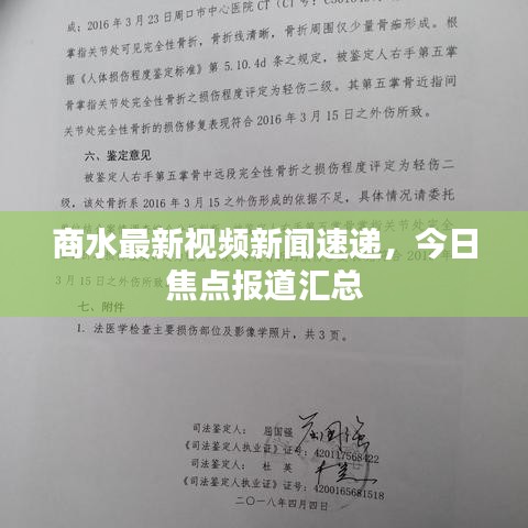 商水最新视频新闻速递，今日焦点报道汇总