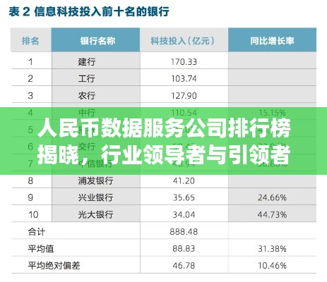 人民币数据服务公司排行榜揭晓，行业领导者与引领者榜单揭秘