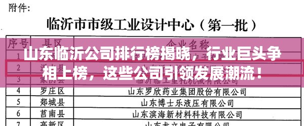 山东临沂公司排行榜揭晓，行业巨头争相上榜，这些公司引领发展潮流！