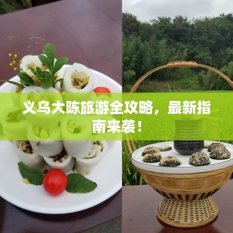 义乌大陈旅游全攻略，最新指南来袭！