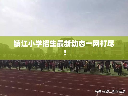 镇江小学招生最新动态一网打尽！