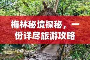 梅林秘境探秘，一份详尽旅游攻略