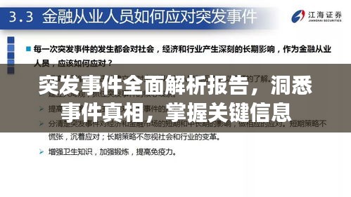 突发事件全面解析报告，洞悉事件真相，掌握关键信息