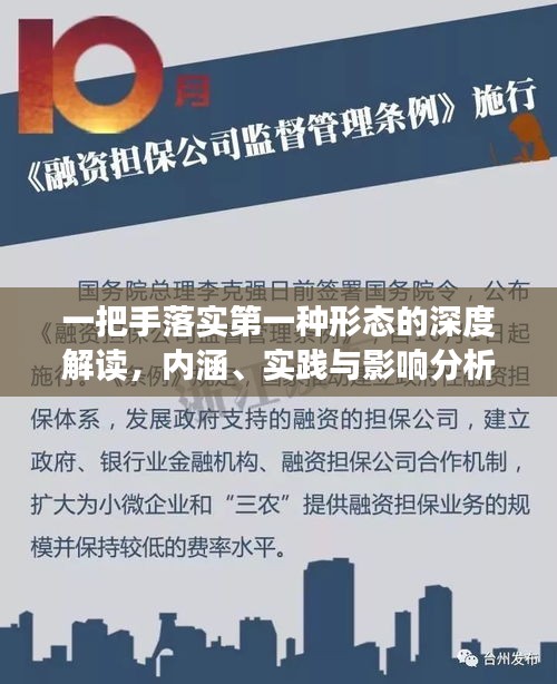 一把手落实第一种形态的深度解读，内涵、实践与影响分析