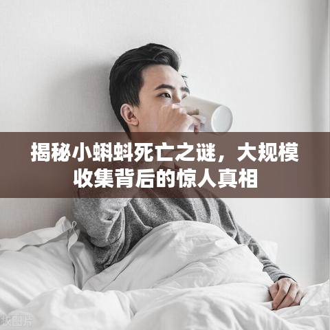 揭秘小蝌蚪死亡之谜，大规模收集背后的惊人真相