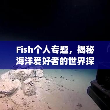 Fish个人专题，揭秘海洋爱好者的世界探索之旅