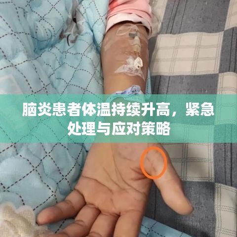 脑炎患者体温持续升高，紧急处理与应对策略