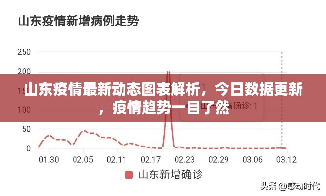 山东疫情最新动态图表解析，今日数据更新，疫情趋势一目了然