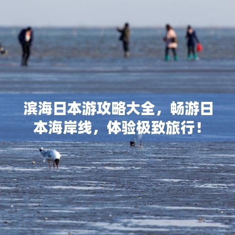 滨海日本游攻略大全，畅游日本海岸线，体验极致旅行！