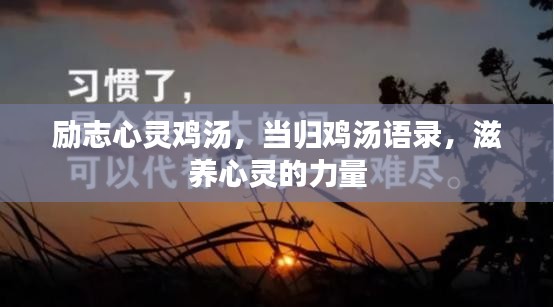 励志心灵鸡汤，当归鸡汤语录，滋养心灵的力量