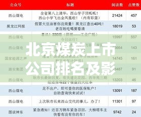 北京煤炭上市公司排名及影响力深度解析