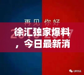 徐汇独家爆料，今日最新消息速递