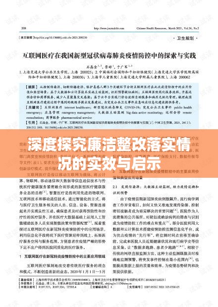 深度探究廉洁整改落实情况的实效与启示