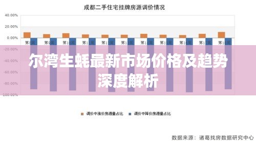 尔湾生蚝最新市场价格及趋势深度解析