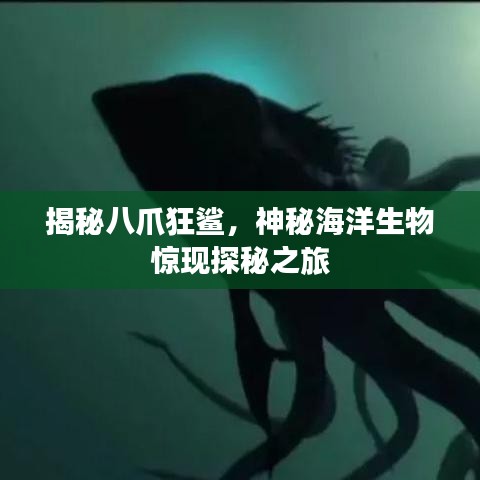 揭秘八爪狂鲨，神秘海洋生物惊现探秘之旅