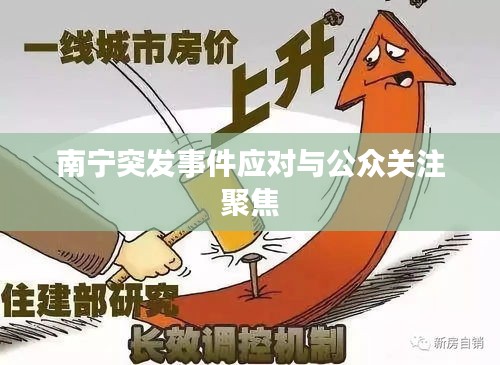 南宁突发事件应对与公众关注聚焦