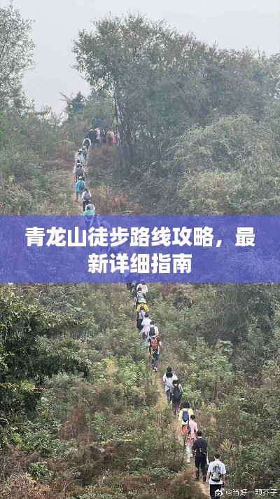 青龙山徒步路线攻略，最新详细指南