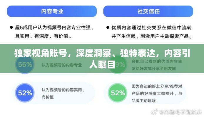 独家视角账号，深度洞察、独特表达，内容引人瞩目