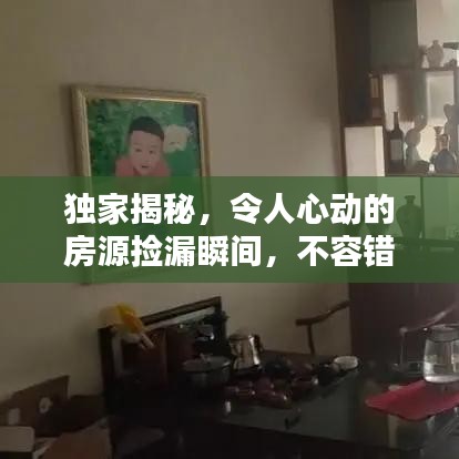 独家揭秘，令人心动的房源捡漏瞬间，不容错过！