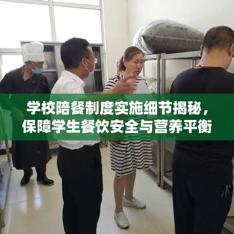 学校陪餐制度实施细节揭秘，保障学生餐饮安全与营养平衡全攻略