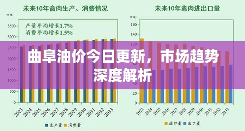 曲阜油价今日更新，市场趋势深度解析