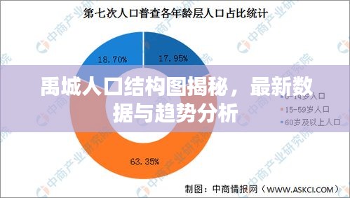 禹城人口结构图揭秘，最新数据与趋势分析