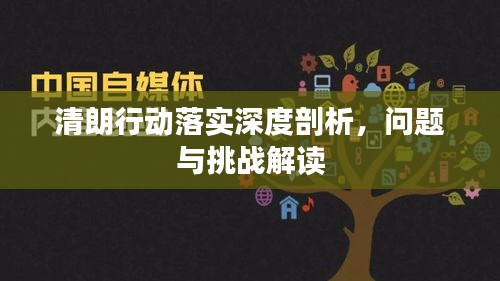 清朗行动落实深度剖析，问题与挑战解读