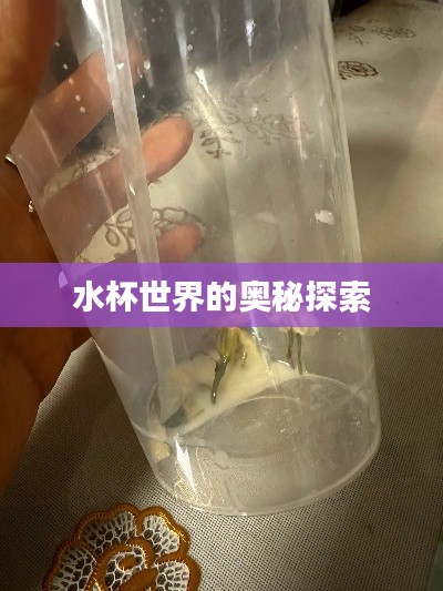 水杯世界的奥秘探索