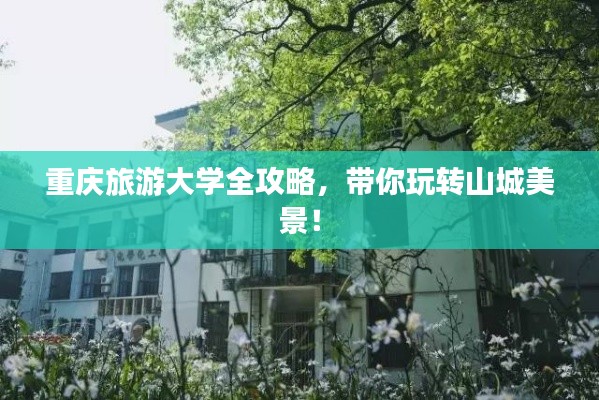 重庆旅游大学全攻略，带你玩转山城美景！