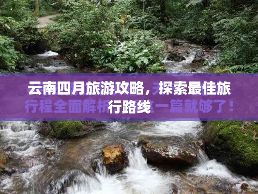 云南四月旅游攻略，探索最佳旅行路线