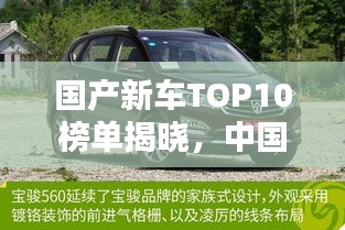 国产新车TOP10榜单揭晓，中国制造的辉煌成就一览无遗！