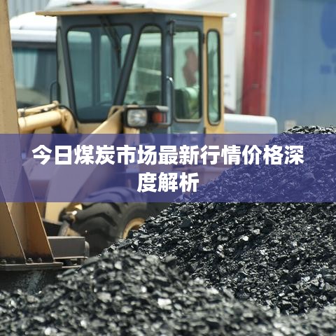 今日煤炭市场最新行情价格深度解析