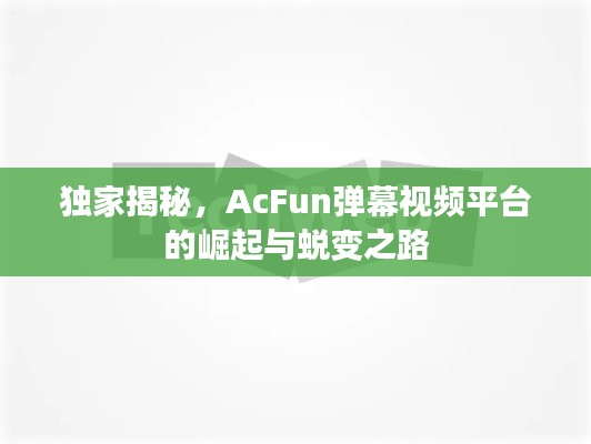 独家揭秘，AcFun弹幕视频平台的崛起与蜕变之路