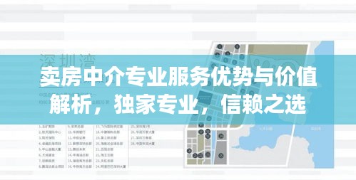 卖房中介专业服务优势与价值解析，独家专业，信赖之选