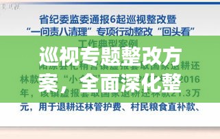 巡视专题整改方案，全面深化整改，提升监督效能