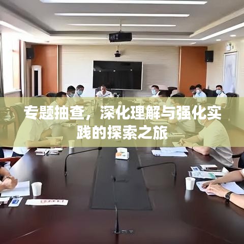 专题抽查，深化理解与强化实践的探索之旅