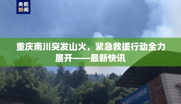 重庆南川突发山火，紧急救援行动全力展开——最新快讯