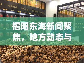 揭阳东海新闻聚焦，地方动态与经济文化发展同步推进