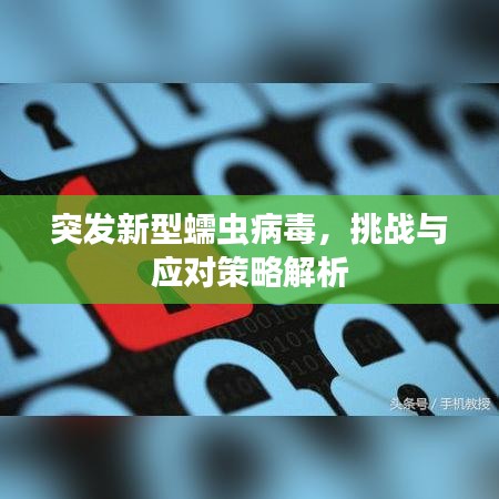 突发新型蠕虫病毒，挑战与应对策略解析