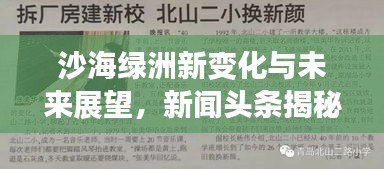 沙海绿洲新变化与未来展望，新闻头条揭秘最新发展动态