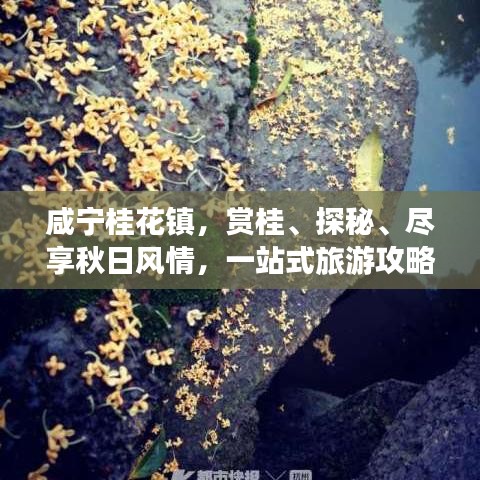 咸宁桂花镇，赏桂、探秘、尽享秋日风情，一站式旅游攻略！