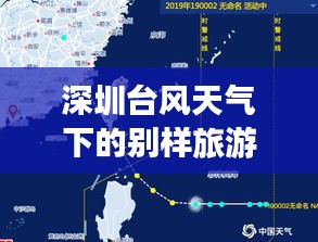 深圳台风天气下的别样旅游攻略