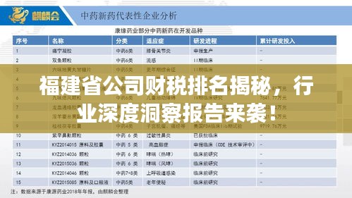 福建省公司财税排名揭秘，行业深度洞察报告来袭！