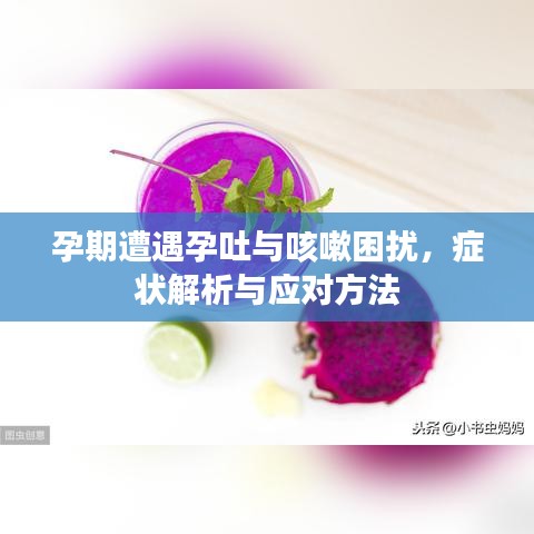 孕期遭遇孕吐与咳嗽困扰，症状解析与应对方法